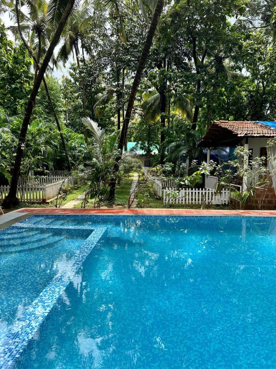King Villa Goa Palolem Buitenkant foto